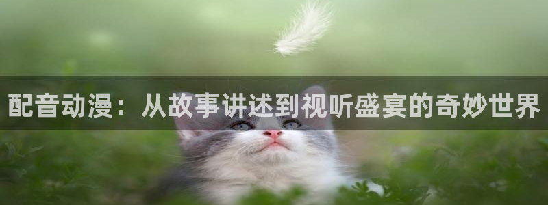 managereader漫画官网入口：配音动漫：从故事讲述到视听盛宴的奇妙世界