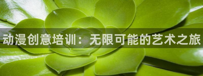 managereader漫画官网入口