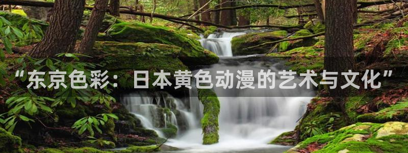 stagenehind韩漫免费观看：“东京色彩：日本黄色动漫的艺术与文化”