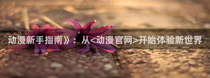 kakaopage韩漫官网：动漫新手指南》：从<动漫官网>开始体验新世界