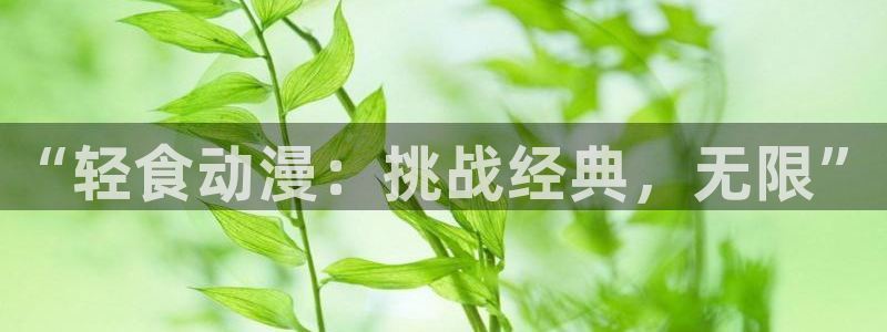 age动漫网官网入口：“轻食动漫：挑战经典，无限”