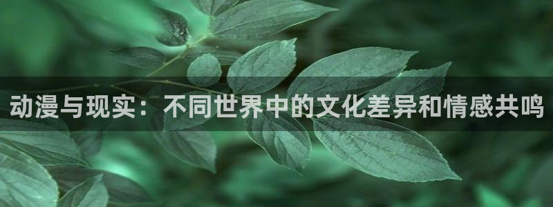 colomanage漫画官网：动漫与现实：不同世界中的文化差异和情感共鸣