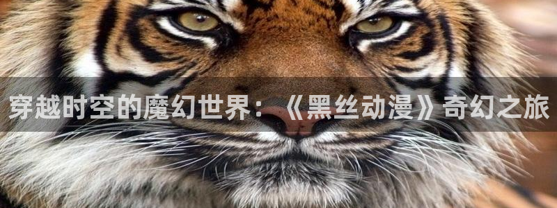 stagenehind韩漫免费观看：穿越时空的魔幻世界：《黑丝动漫》奇幻之旅