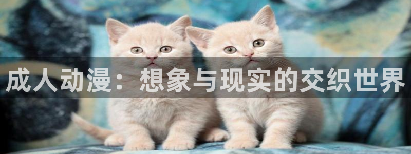 kakaopage韩漫官网：成人动漫：想象与现实的交织世界