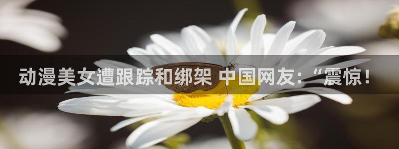 age动漫专注动漫的门户网站：动漫美女遭跟踪和绑架 中国网友:“震惊！