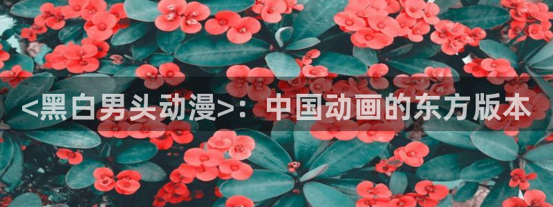 下载age动漫：<黑白男头动漫>：中国动画的东方版本