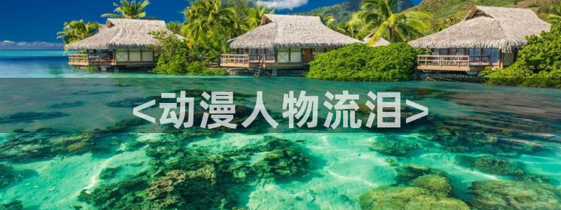 age动漫官网入口老版本：<动漫人物流泪>