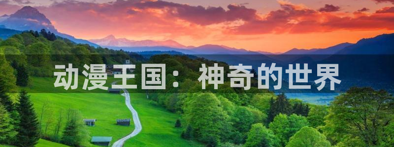 age动漫官网入口老版本：动漫王国：神奇的世界