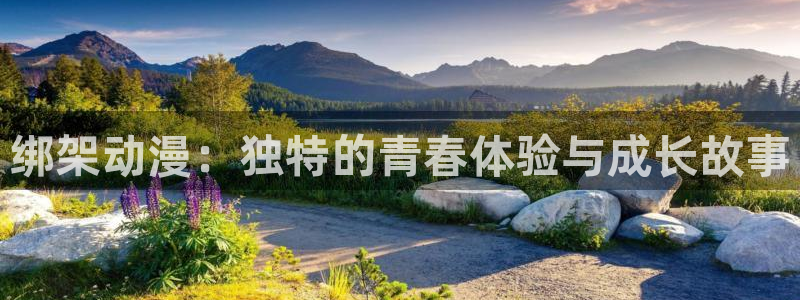下载age动漫：绑架动漫：独特的青春体验与成长故事