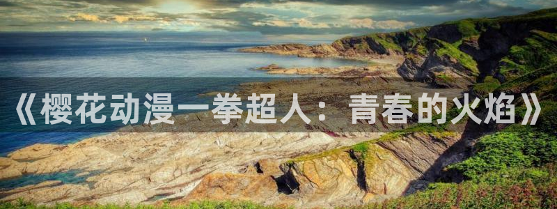age动漫网上看：《樱花动漫一拳超人：青春的火焰》