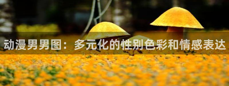 age动漫官网网址：动漫男男图：多元化的性别色彩和情感表达