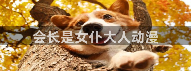 age动漫下载网：会长是女仆大人动漫