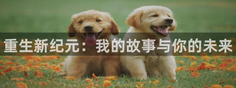age动漫网下载：重生新纪元：我的故事与你的未来
