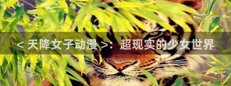 age动漫网官网入口：< 天降女子动漫 >：超现实的少女世界