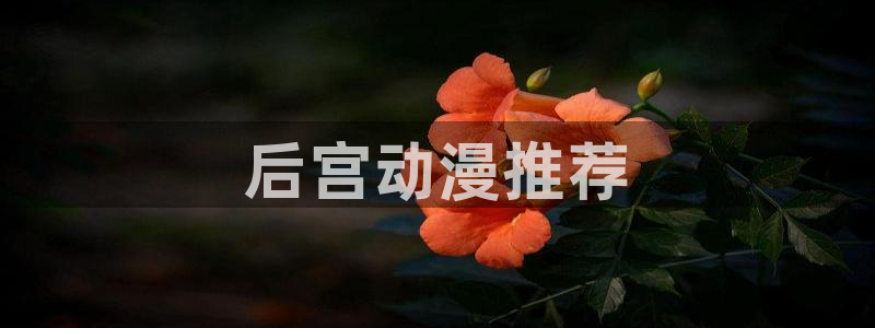 age动漫网下载：后宫动漫推荐