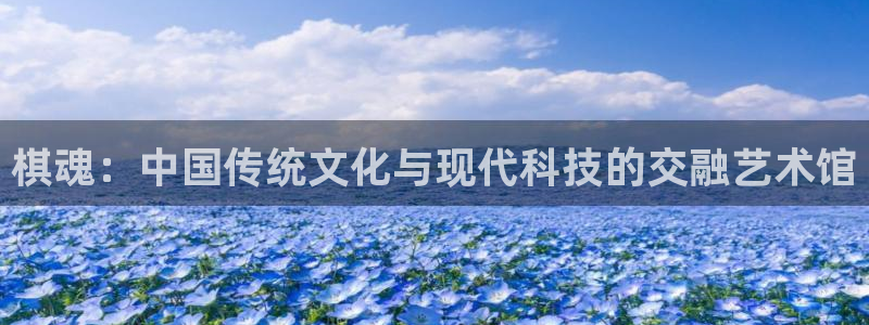 age动漫下载网：棋魂：中国传统文化与现代科技的交融艺术馆