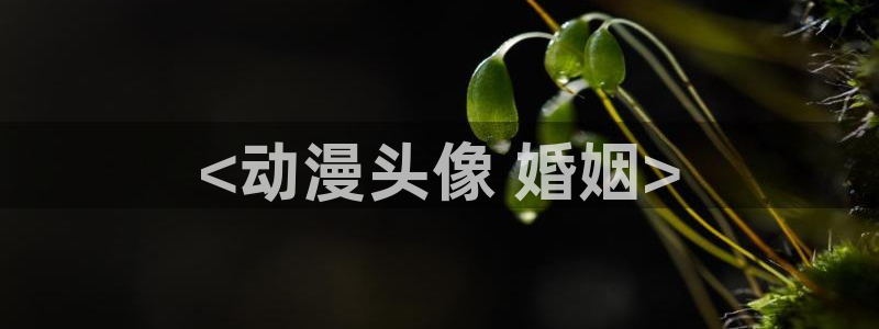 age动漫下载：<动漫头像 婚姻>