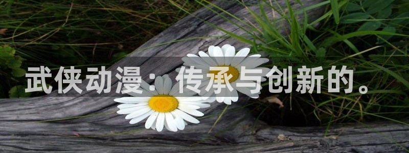 age动漫下载入口：武侠动漫：传承与创新的。