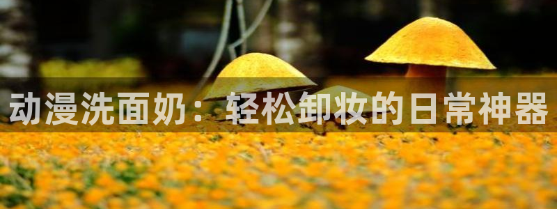 kakaopage韩漫官网：动漫洗面奶：轻松卸妆的日常神器