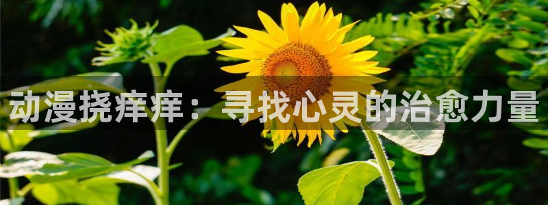 age动漫专注动漫的门户网站：动漫挠痒痒：寻找心灵的治愈力量